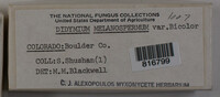 Image Associated With the Occurence